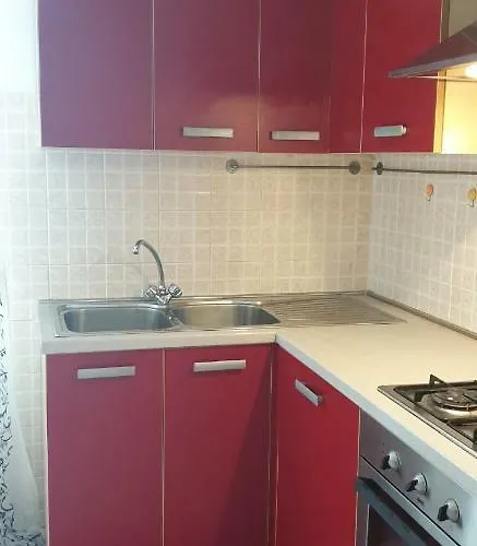 Ladybug * Poggibonsi