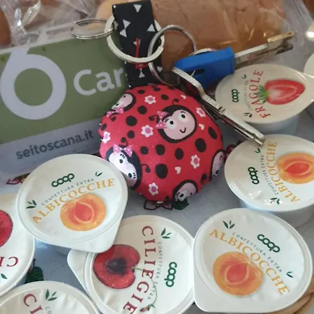 Ladybug Poggibonsi