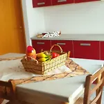 Ladybug *